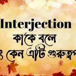 Interjection কাকে বলে এবং কেন এটি গুরুত্বপূর্ণ