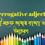 Interrogative adjective