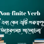 Non-finite Verb